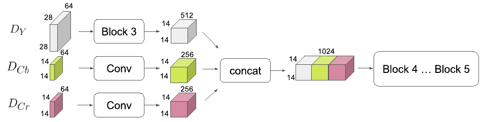 Схема Late-Concat, из статьи